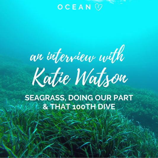 Ocean Love: An Interview with Marine Biologist Katie Watson