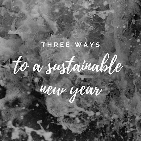 Three Ways to a Sustainable New Year